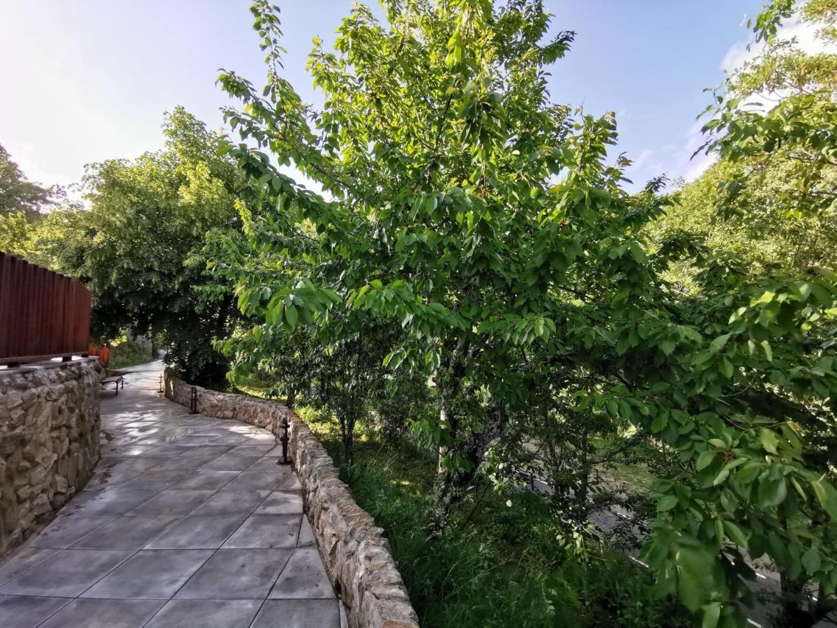 Villa Marel Трефасио Экстерьер фото